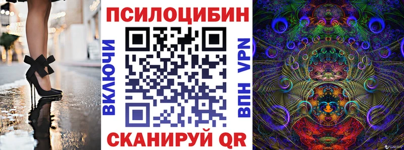 Галлюциногенные грибы Psilocybe Ардон